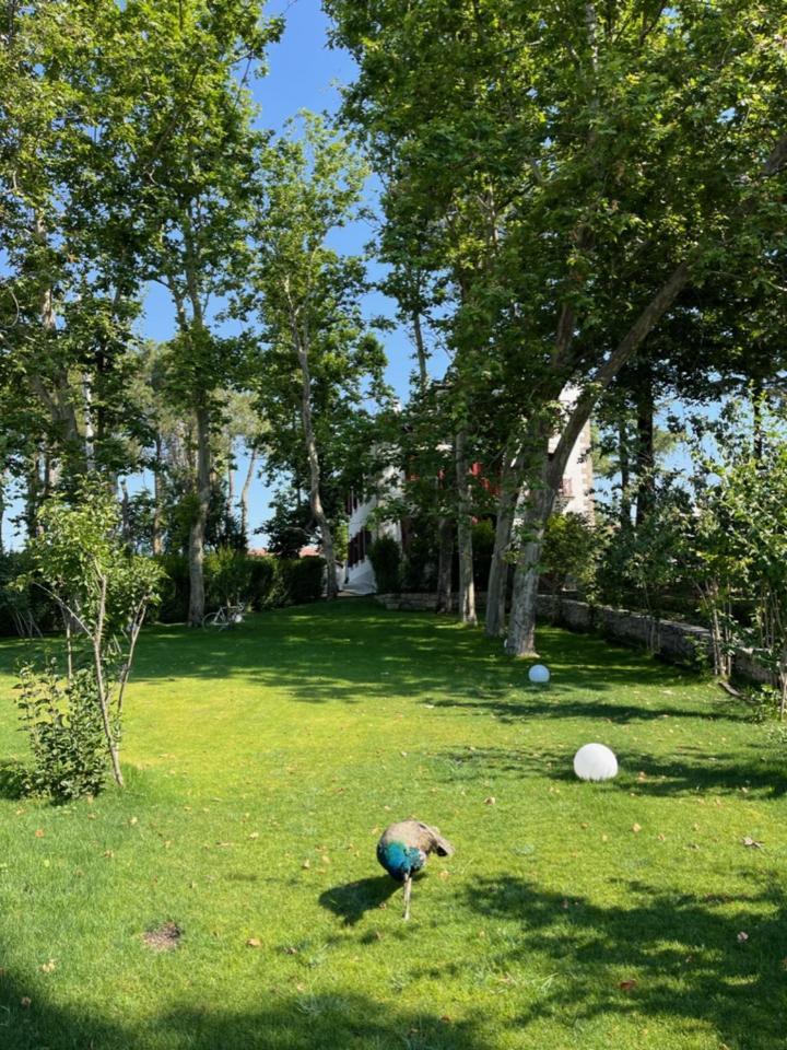 Casa Jardin El Colmenar Ξενοδοχείο Las Navas Del Marques Εξωτερικό φωτογραφία